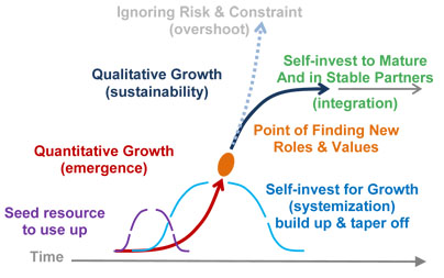 The natural succession of development phases