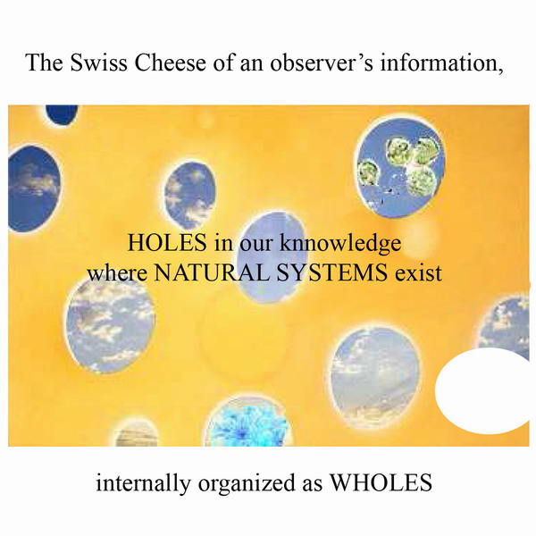 Swiss cheese of knowledge